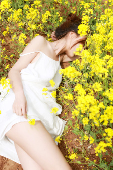 你的婚礼2